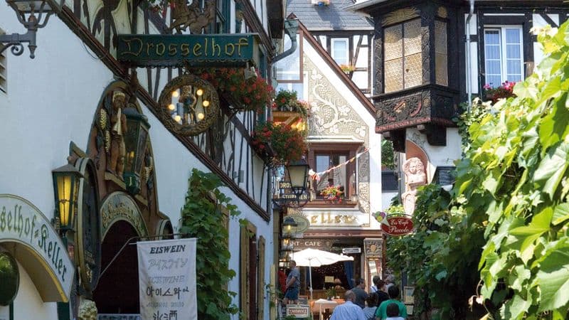 4 Rivers: The Neckar, Romantic Rhine, Moselle, and Sarre Valleys (port-to-port cruise)