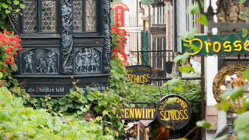 Holland and the romantic Rhine valley (port-to-port cruise)