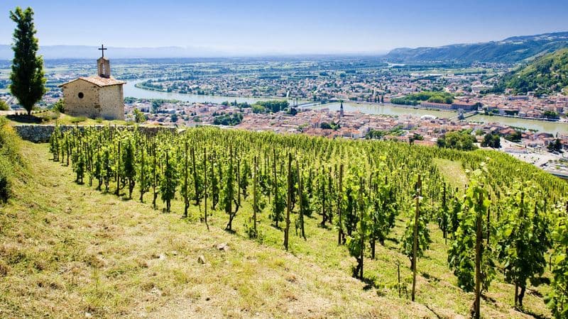 Oenological cruise: Discover the fabulous world of vines and wine (port-to-port cruise)