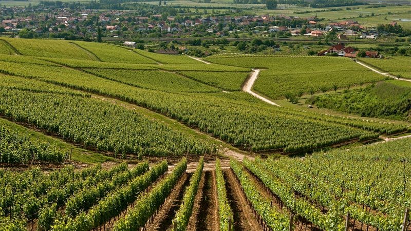 From the Danube to the Tisza, through the Real Hungary (port-to-port cruise)