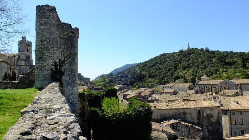From Burgundy to the Camargue along the Saône and the Rhône Rivers (port-to-port cruise)