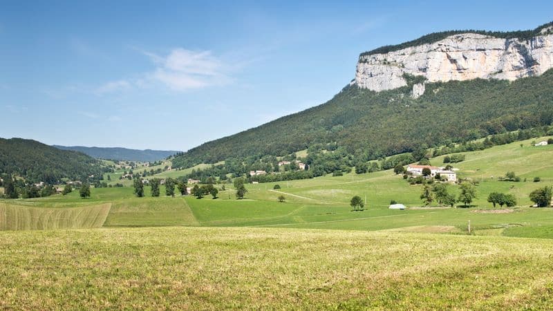 A trip to admire the beautiful scenery of the Rhône valley (port-to-port cruise)