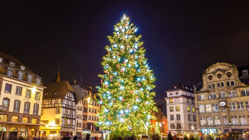 Christmas on the romantic Rhine, the enchantment of the Lorelei Rock (port-to-port cruise)