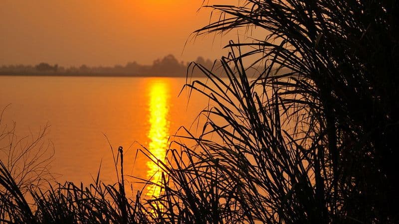 From Siem Reap to the Mekong Delta (port-to-port cruise)