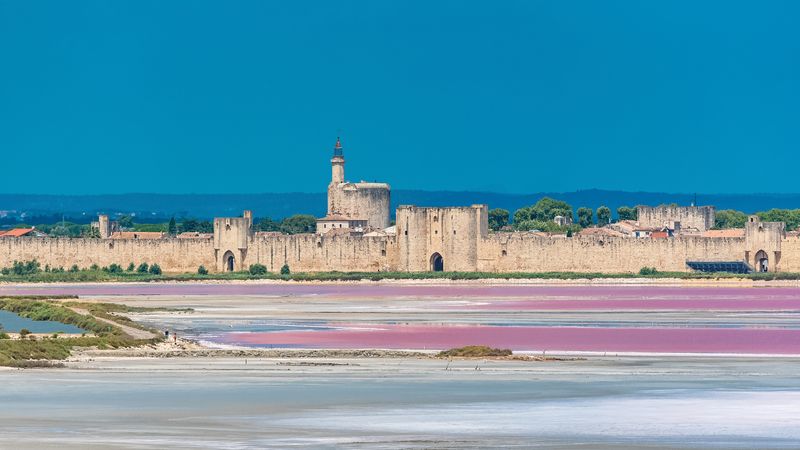 Christmas Cruise on the Canals of Provence Historical stops and flavors of yesteryear