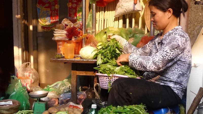 From the Mekong Delta to the Angkor Temples, Hanoi, and Halong Bay (port-to-port cruise)