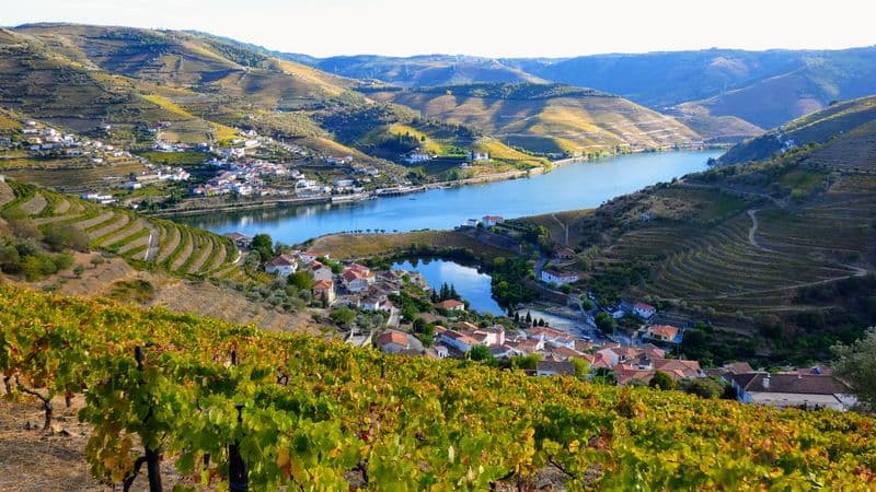 Porto, the Douro valley (Portugal) and Salamanca (Spain)  (port-to-port cruise)