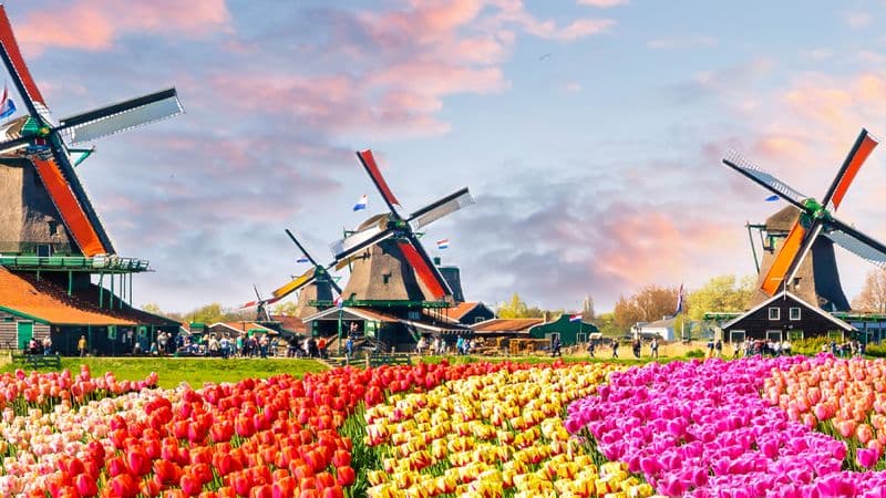 The Treasures of North - Through two extraordinary countries: Belgium and The Netherlands