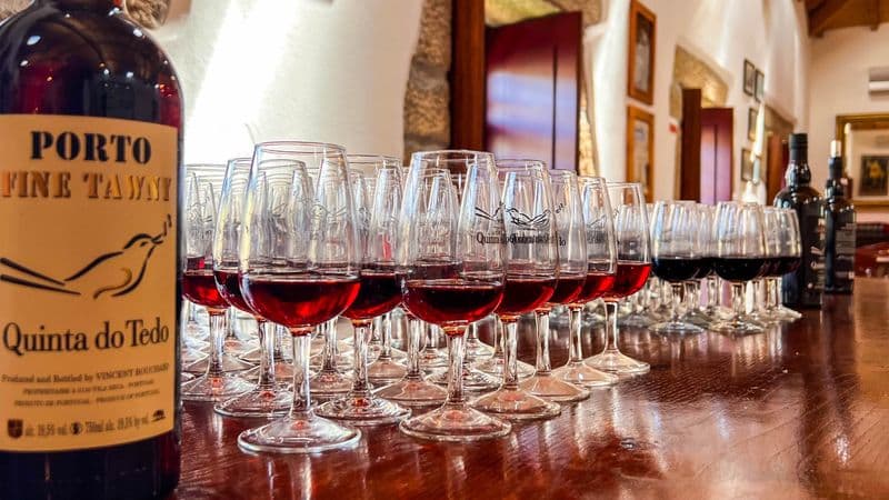 Family Club: Porto, the Douro valley (Portugal) and Salamanca (Spain) (port-to-port cruise)