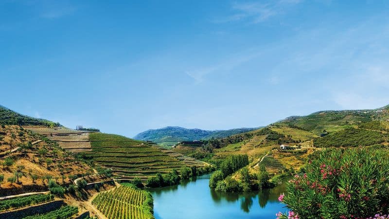 Family Club - From Portugal to Spain: Porto, the Douro Valley (Portugal) and Salamanca (Spain) (port-to-port cruise)