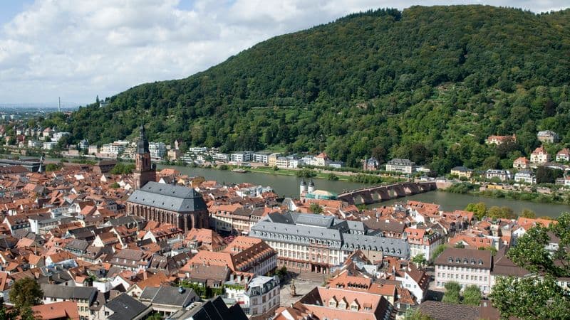 Holland and the romantic Rhine valley (port-to-port cruise)
