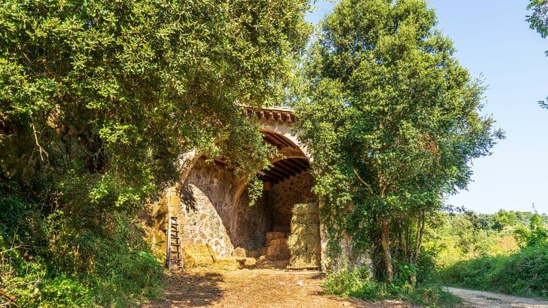 Malaga to Barcelona - Following the footsteps of three wondrous Spanish artists : Gaudi, Dali, and Picasso (port-to-port package)
