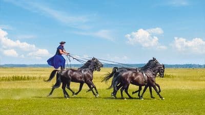 Hiking cruises in the former Austro-Hungarian Empire (port-to-port cruise)