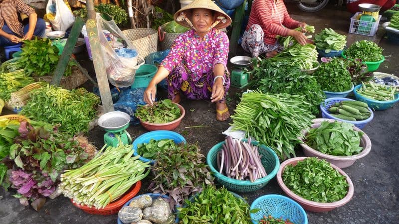 From Siem Reap to the Mekong Delta (port-to-port cruise)