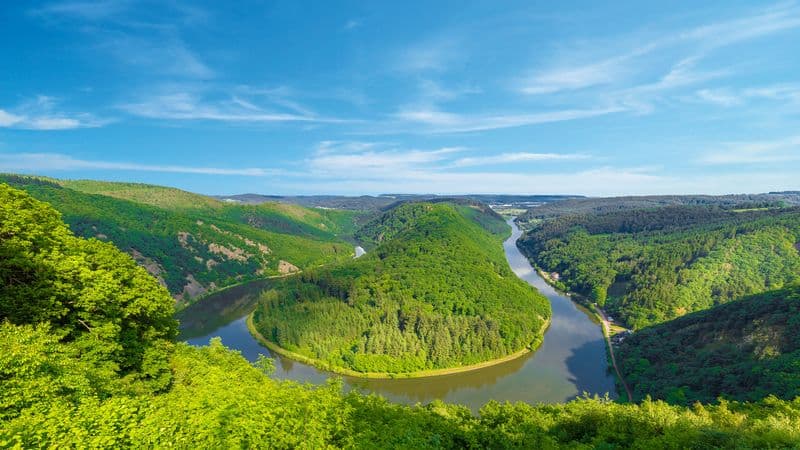 Four Rivers, Four Valleys - The Best of the Saar, Moselle, Neckar, and Rhine Rivers (port-to-port cruise)
