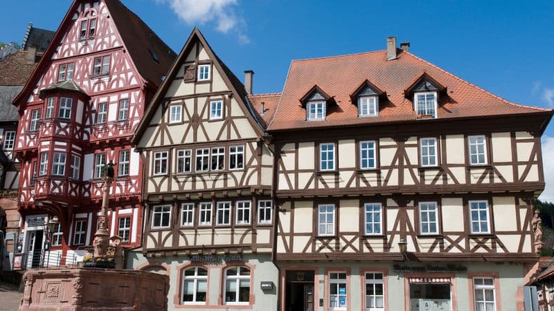 Cruise through the Heart of Europe from the Rhine to the Danube (port-to-port cruise)