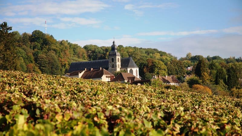 France at its Finest from the Champagne Region to Paris (port-to-port cruise)