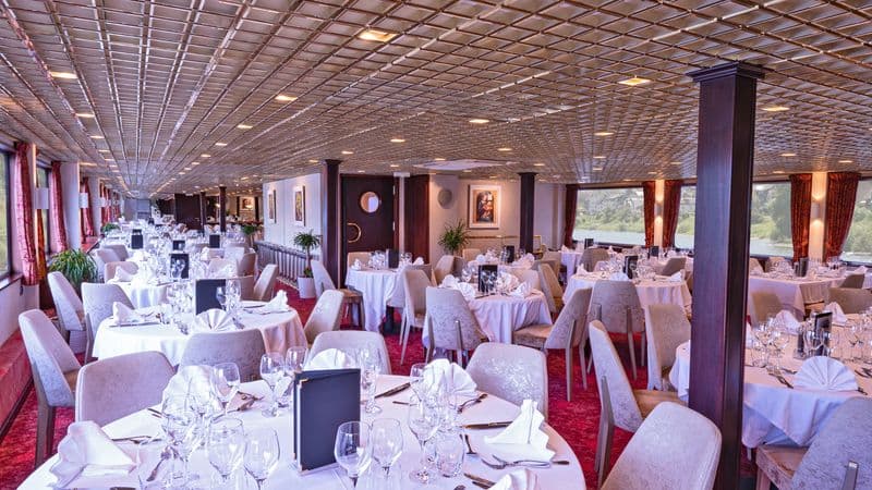 New Year on the Wild Rhine (port-to-port cruise)