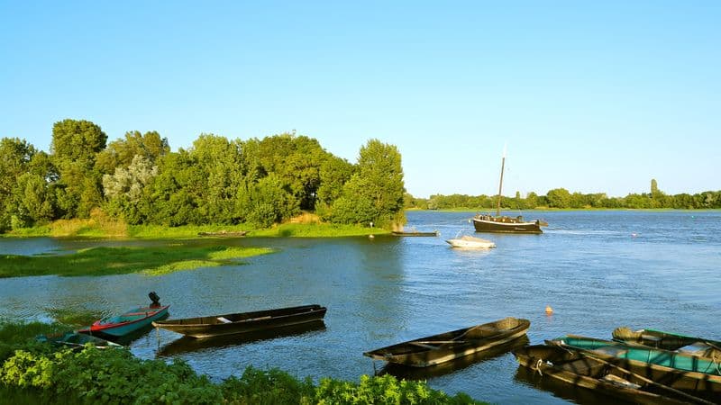 The Loire Valley, a Royal legacy (port-to-port cruise)