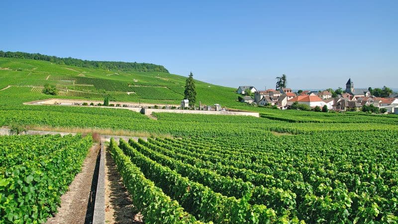 France at its Finest from the Champagne Region to Paris (port-to-port cruise)