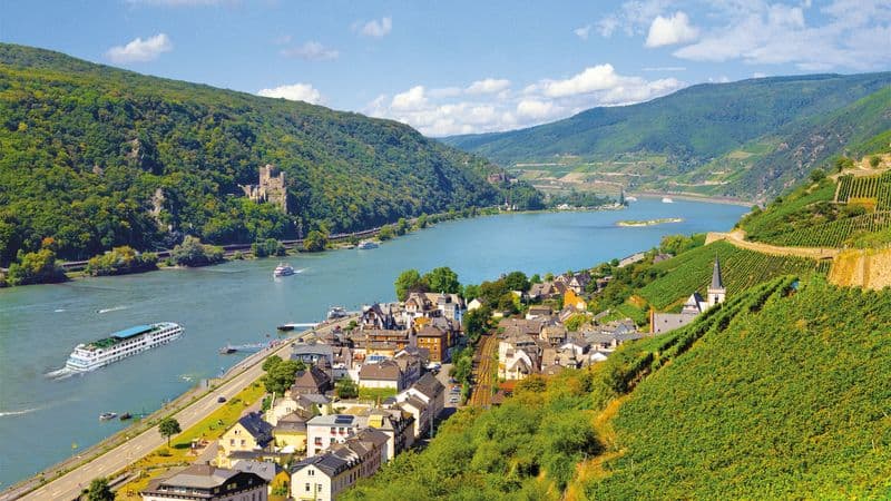Cruise Festival: Legends, Festivities, and Delicacies on the Romantic Rhine River