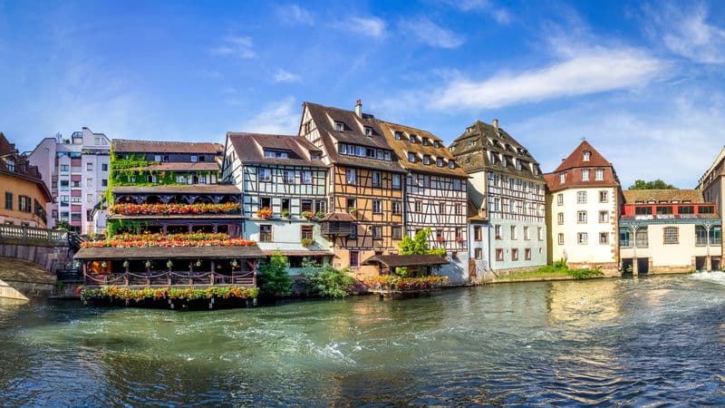 Cruise Festival: Legends, Festivities, and Delicacies on the Romantic Rhine River