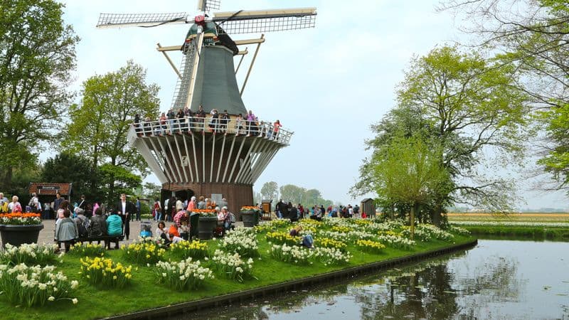 Cruise on the IJsselmeer, one of Holland's treasures (port-to-port cruise)