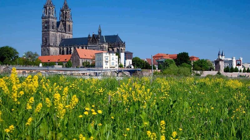 From Prague to Berlin: Cruise on the Vltava and Elbe Rivers (port-to-port cruise)