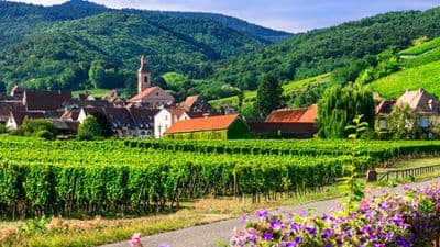 Gastronomy on the Rhine with Marc Haeberlin(2) (port-to-port cruise)