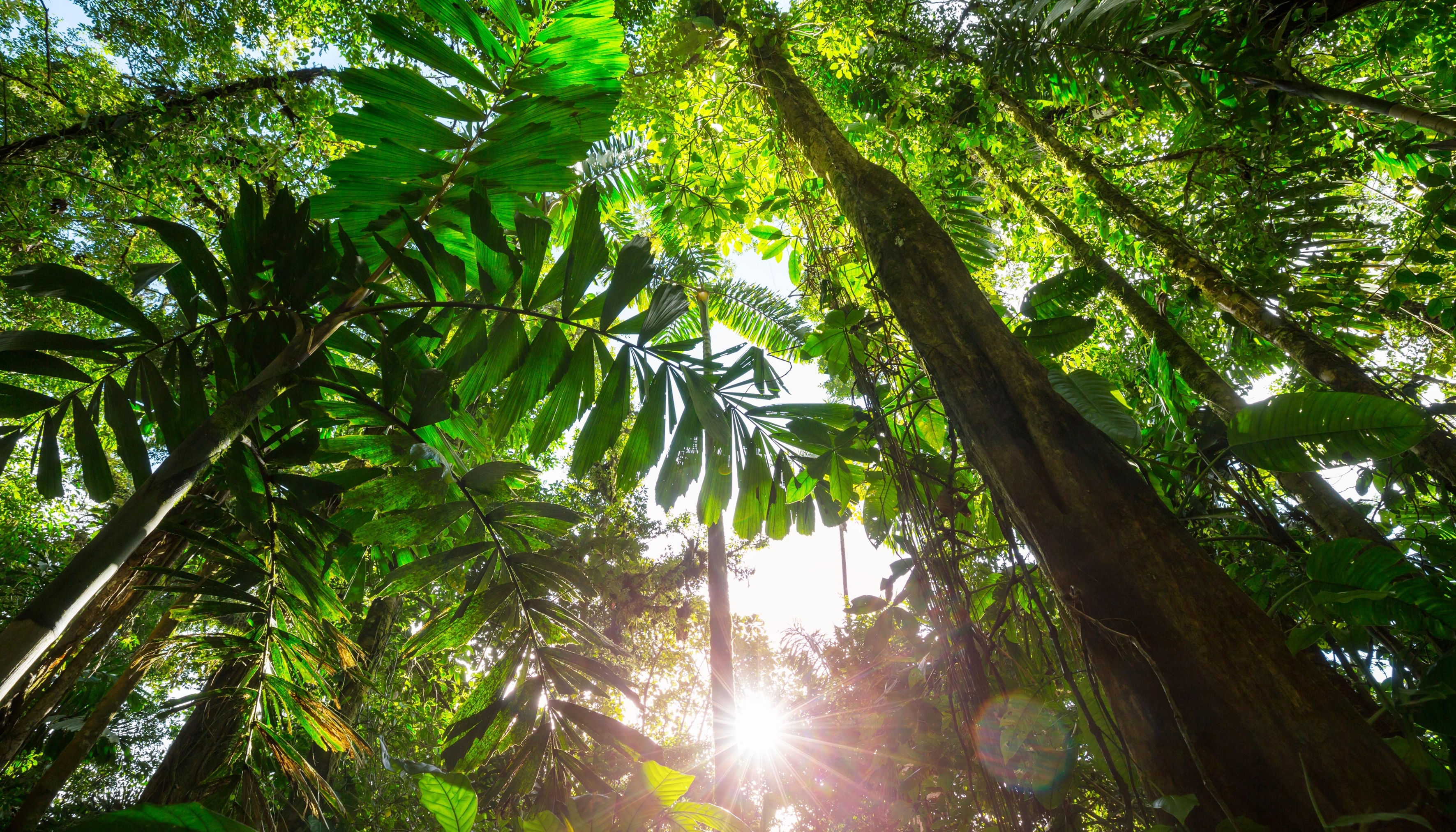 The Gentle Amazon and the Tapajós River - An enchanting and intimate cruise to the Amazon's most beautiful beaches (port-to-port cruise)
