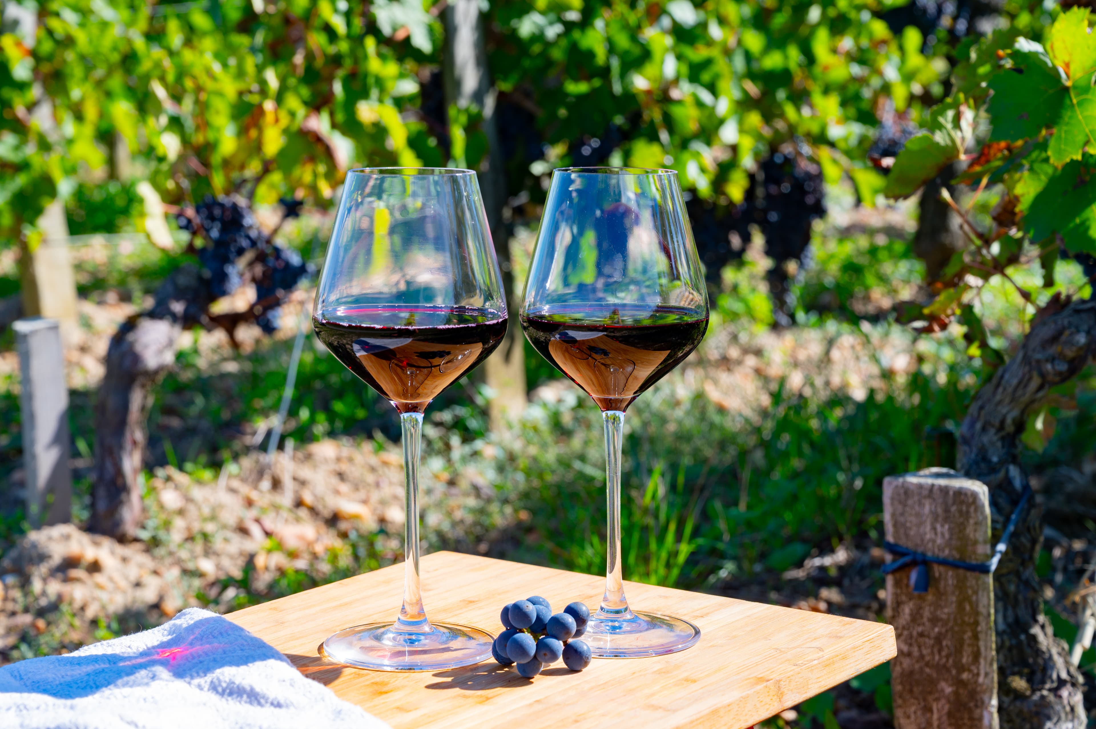 Oenological cruise: At the heart of a prestigious wine region (port-to-port cruise)