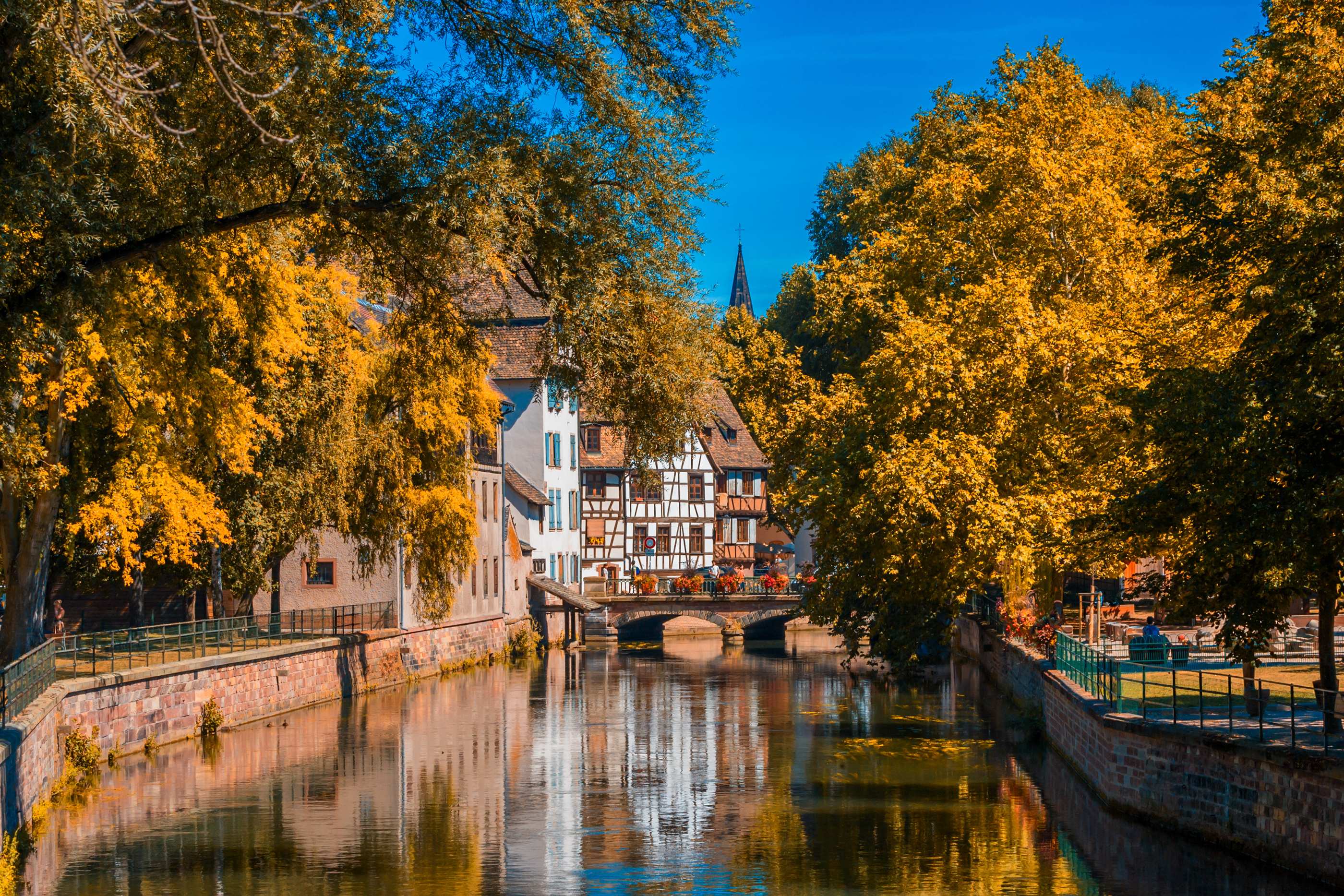 Autumn Splendor on the Rhine: Cruise & Hikes through the Rhineland (port-to-port cruise)