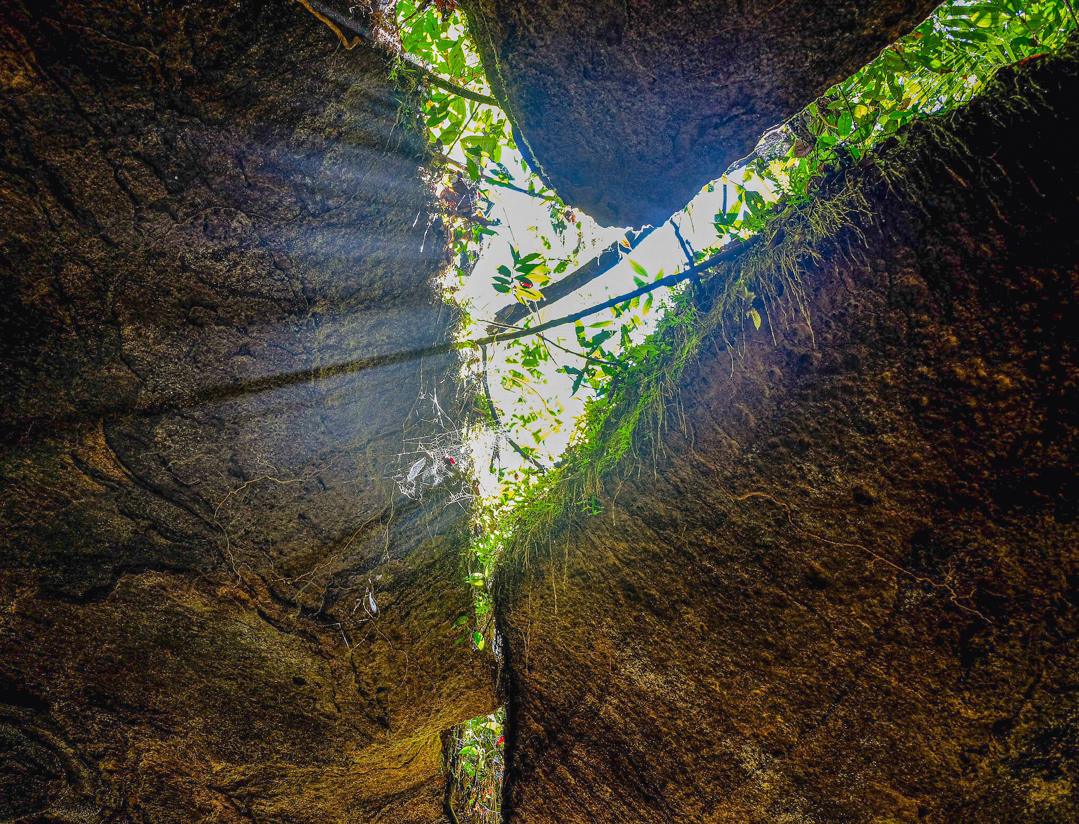 Along the Amazon and the Rio Negro - An Exclusive Cruise through Pristine and Hidden Nature - Rio, vibrant and timeless, and an exceptional stay at Iguazu Falls (port-to-port cruise)