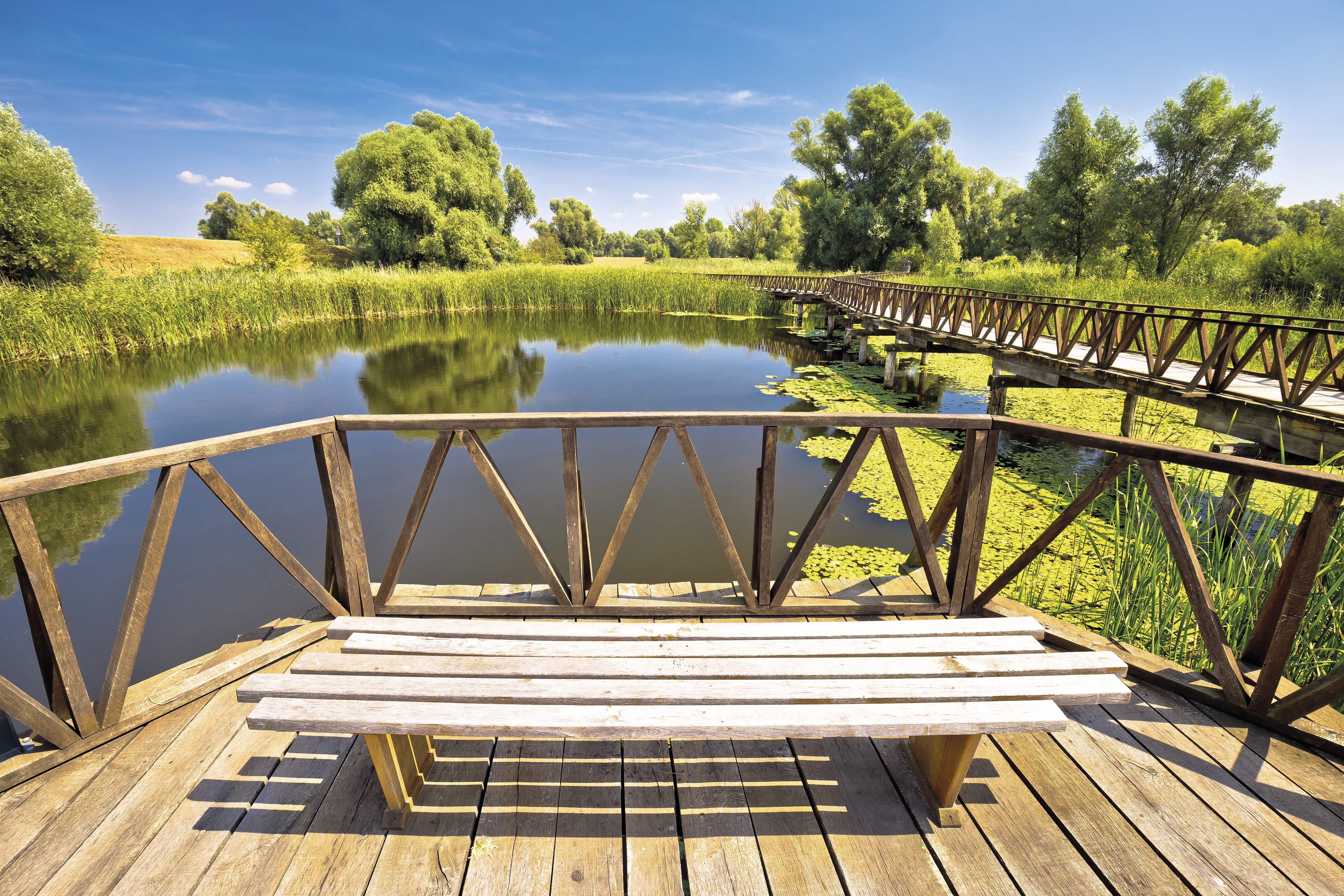 Lake Balaton, the authentic Sava and the majestic Danube (port-to-port cruise)