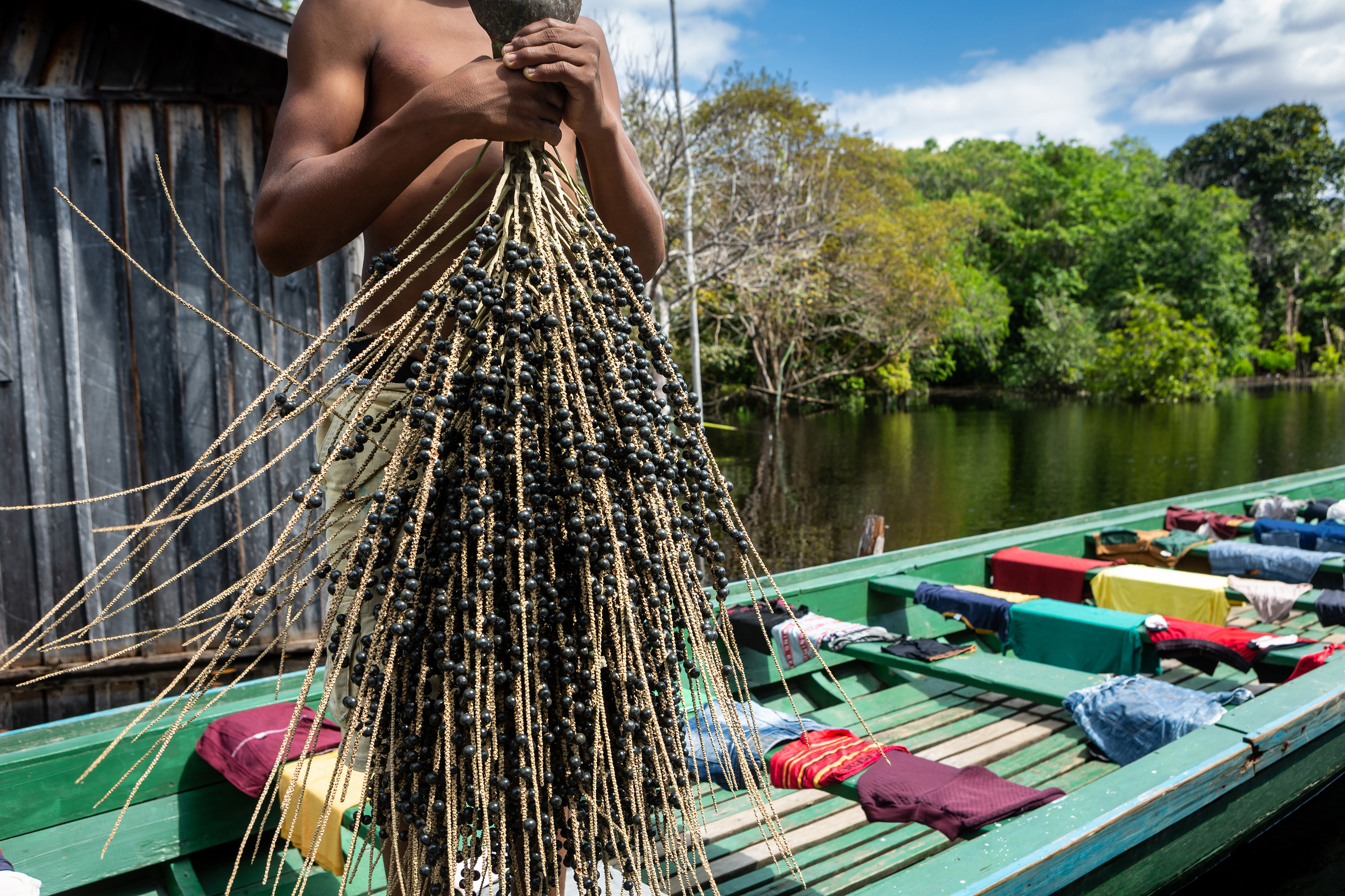 Cruise into the Heart of Primal Amazonia - An exploration at the edge of the jungle, between Brazil and Colombia (port-to-port cruise)