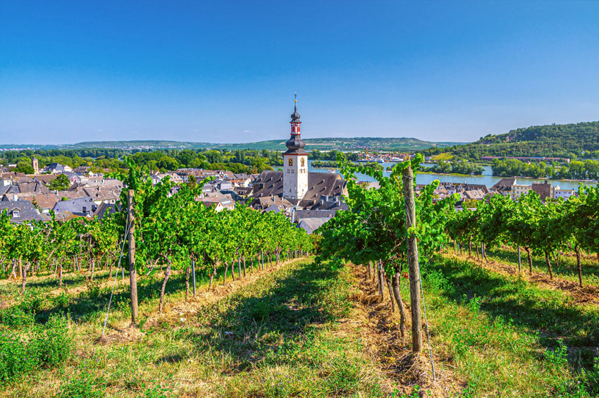 The Romantic Rhine Valley and the Rock of Lorelei (port-to-port cruise)