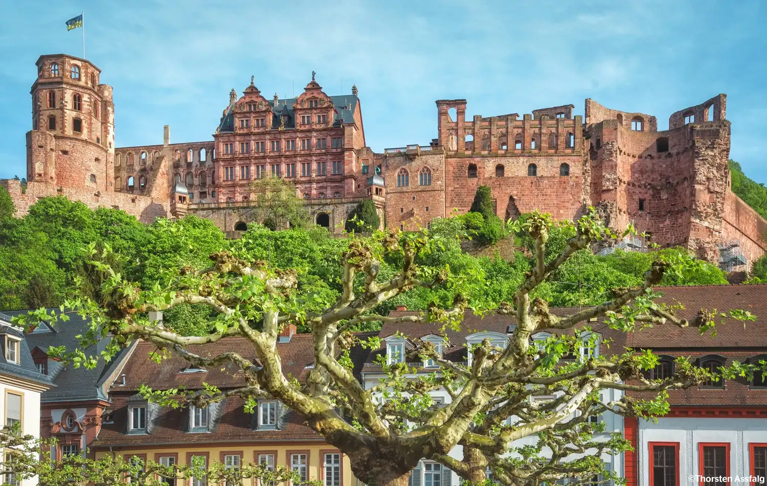 Heidelberg Palace by Thorsten Assfalg