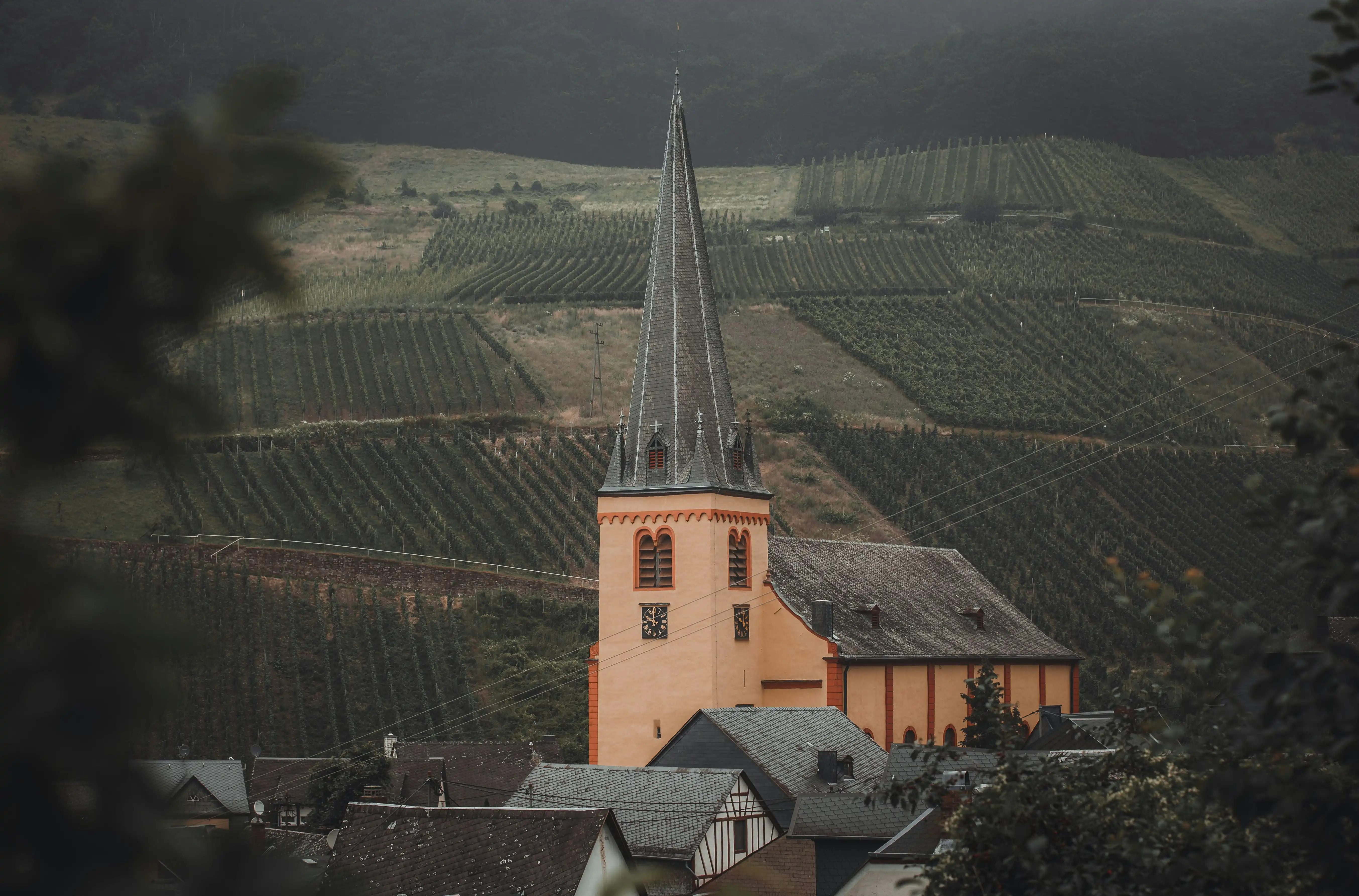 Bernkastel-Kues, Germany by Dylan Leagh
