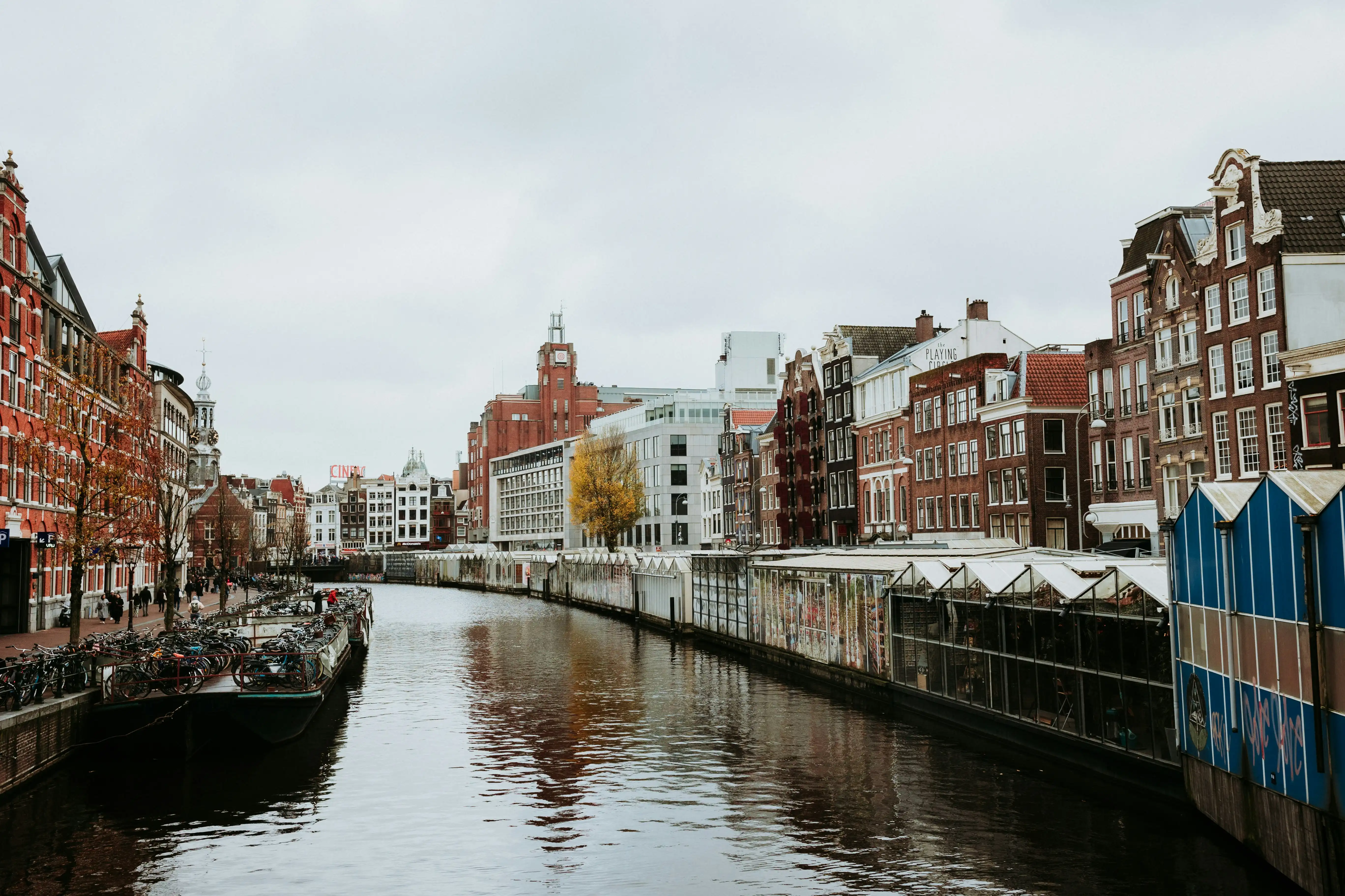 Cruising through the scenic canals of Amsterdam