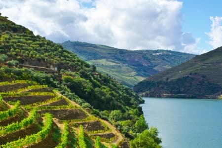 Hike in Porto, the Douro Valley (Portugal), and Salamanca (Spain) (port-to-port cruise)