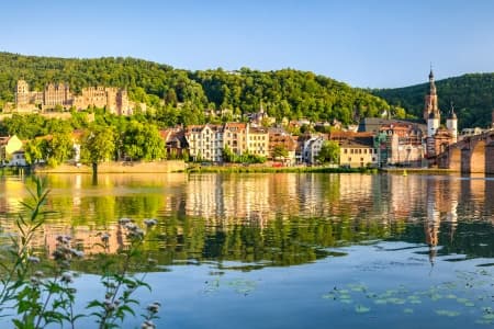 Fall Festival: Legends, Festivities, and Delicacies on the Romantic Rhine River
