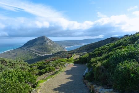 Southern Africa aboard the African Dream: travel to the ends of the earth with extended stay at the Cape Peninsula (port-to-port cruise)