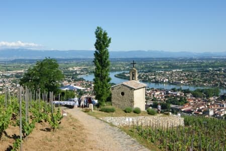 The Valleys of the Rhône and Saône: Gastronomy and vineyards (port-to-port cruise)