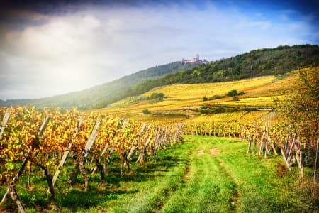 Alsace: land of tradition and gastronomy (port-to-port cruise)