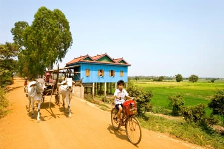 From the Mekong Delta to the Angkor Temples (port-to-port cruise)